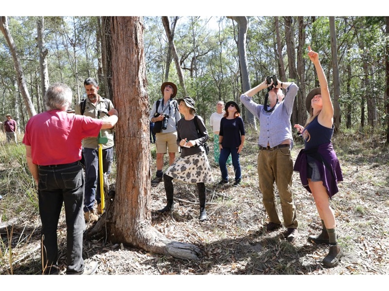 Safe Havens - Large Forest Owls Project Workshop